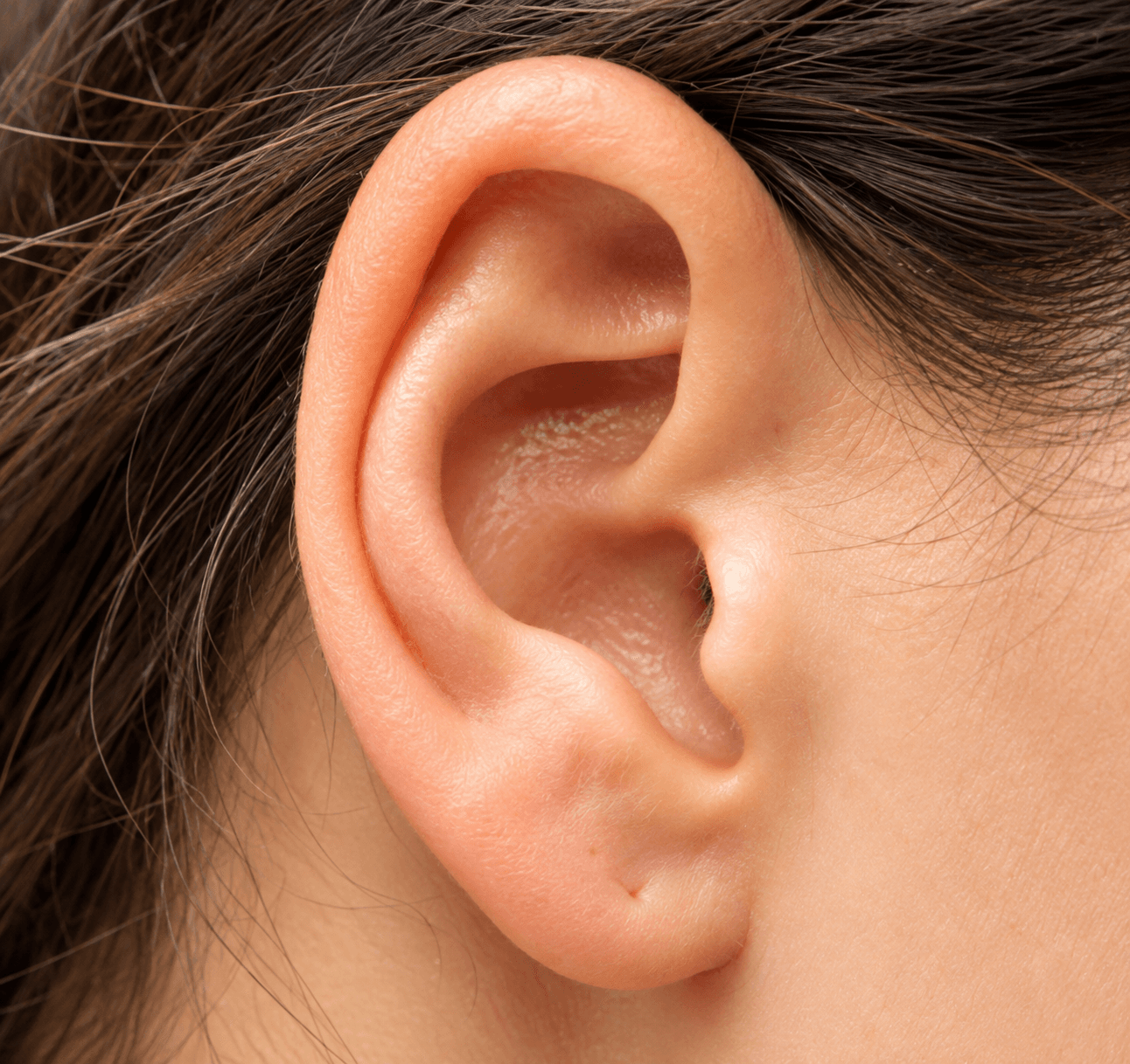 Ear Lobe Repair